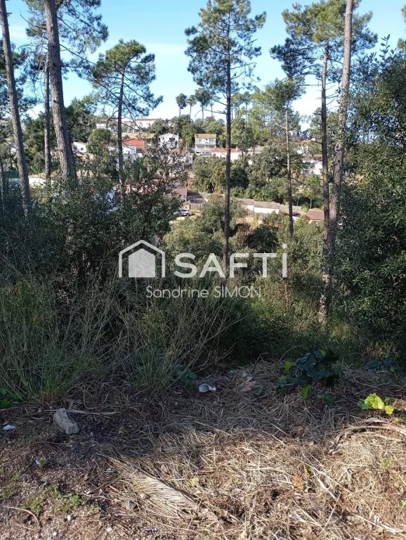 Oportunidad cerca de Lloret de mar!! - foto 4