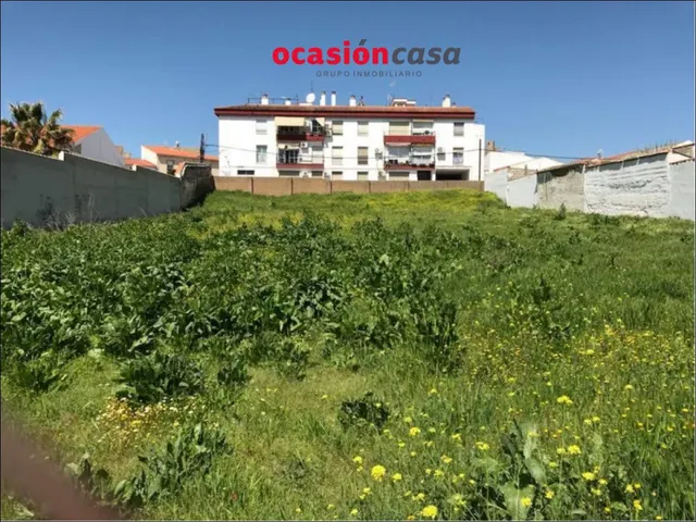 2 SOLARES DE 450 M2 CADA UNO A LA VENTA EN BELMEZ — 4