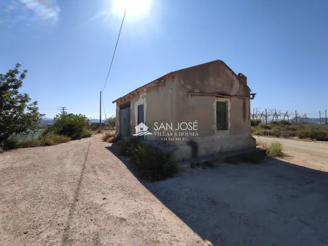 SE VENDE FINCA RÚSTICA EN PRODUCCIÓN UVA ECOLÓGICA CON CASA DE APEROS EN MONFORTE DEL CID. — 3