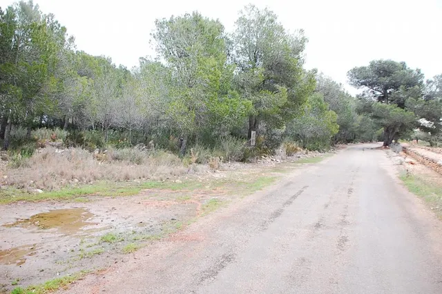 Finca rústica en venta - Afueras del pueblo — 10