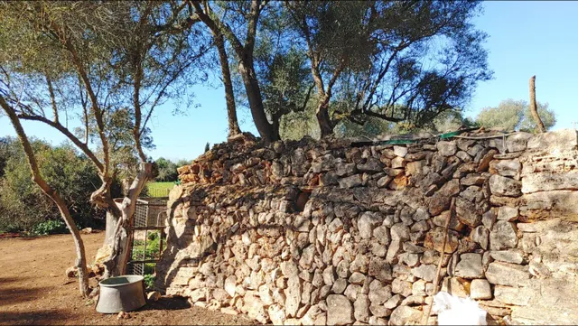 Enorme terreno boscoso con proyecto de un chalet y piscina en Felanitx, Mallorca — 15
