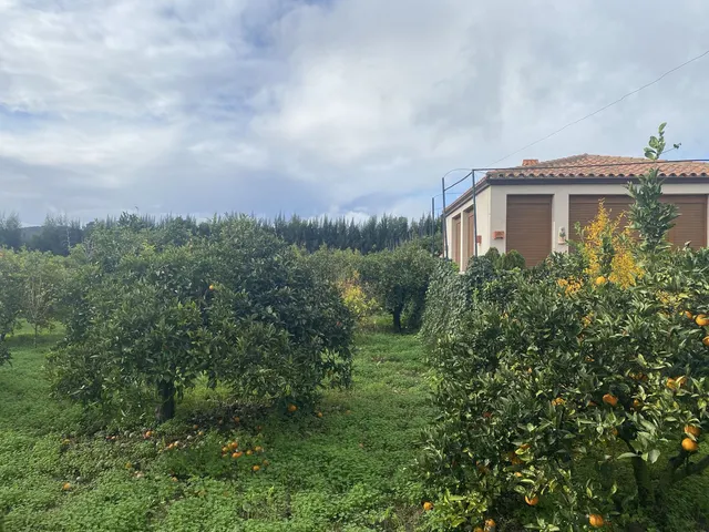 Parcela 50m² en venta - Sotogrande - Alto — 16