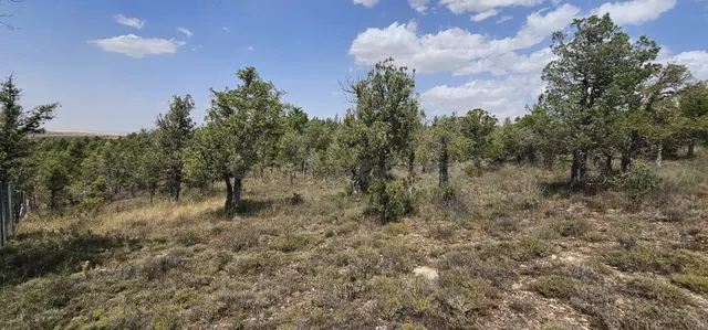 Solar residencial en Venta en Duruelo Segovia — 25
