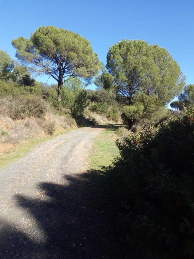 ZONA VILLARRUBIA - Finca rustica de 3 hectáreas con boca de  - foto 2