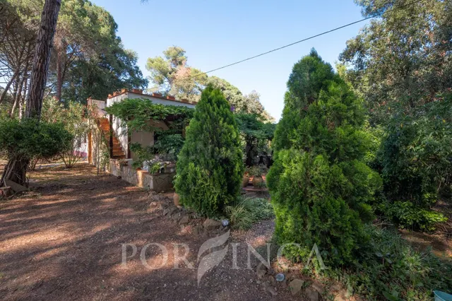 Encantadora casa en suelo rústico con 1.500 m2 de parcela y  - foto 4