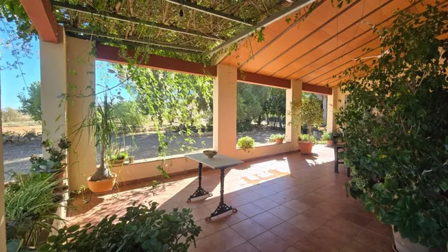 Magnífica casa de campo con piscina y vistas a Moguer, en finca de casi 15.000 m2 — 40