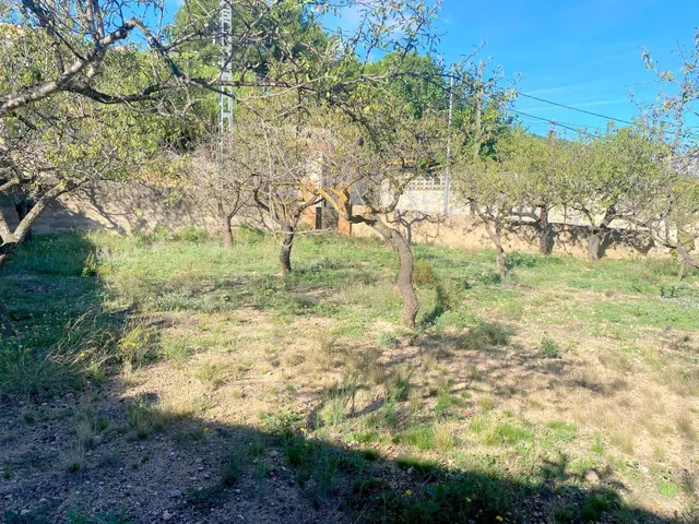 CASA CON TERRENO AMPLIO EN LA FONT DE LA FIGUERA — 23