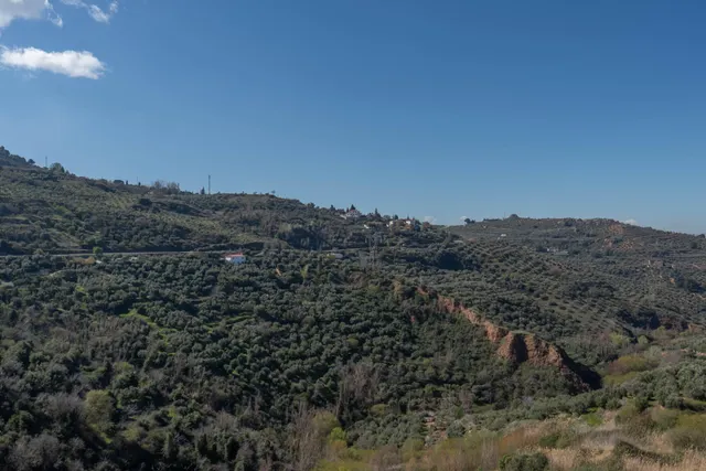 Terreno rústico en Cogollos Vega, con toma de luz y agua en la entrada — 22