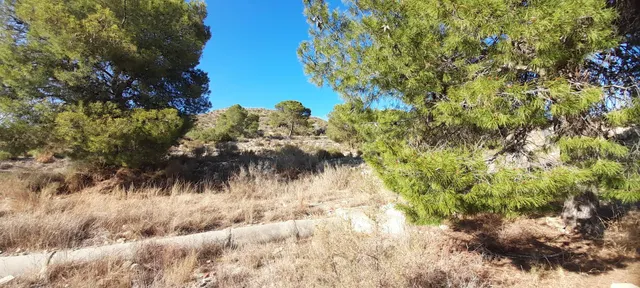 PARCELA 30.000 METROS DE TERRENO — 27