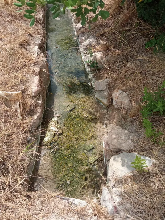 Parcela Rústica de 3.700m2 con Agua de Riego a 4,5 km de Mutxamel y a 9 km de la Playa — 3