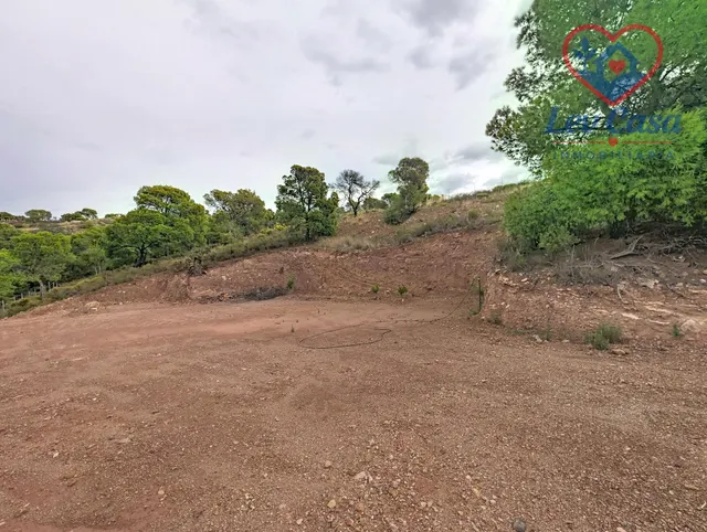 FINCA DE 10.400 M2 CON PISCINA EN SIERRA ESPUÑA — 120.000 € — 23