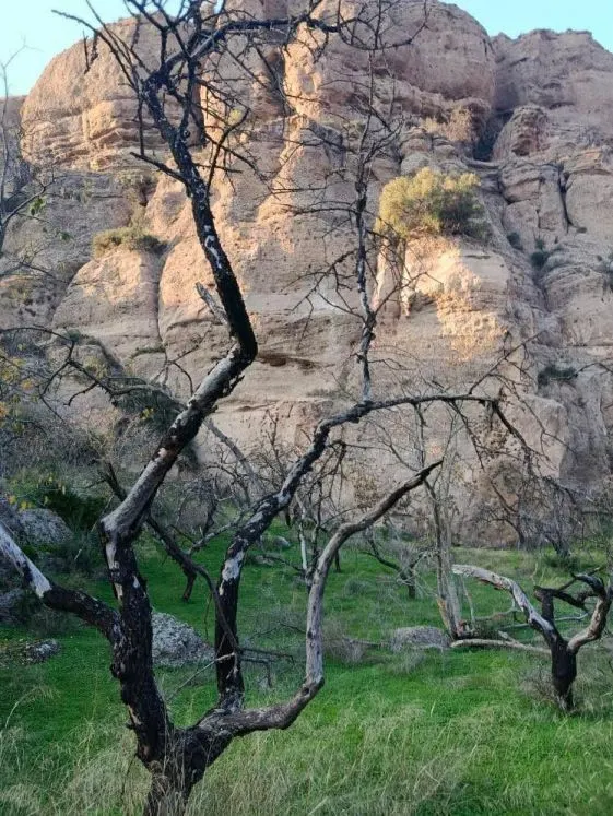 Parcela en venta - Alora pueblo — 16