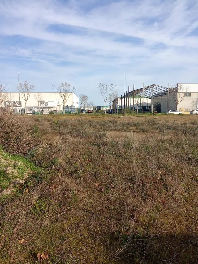 DOS PARCELAS INDUSTRIAL EN EL POLIGONO LAS ARENAS MALPARTIDA - foto 4