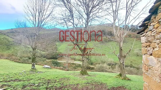 CABAÑA DE PIEDRA EN SOBA. VALDICCON — 9