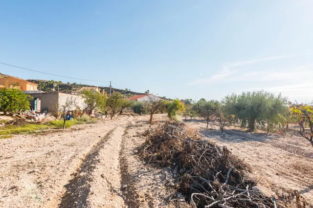 Finca rústica 4.180m2 de parcela con casa y piscina en las peñas (Fortuna) — 44