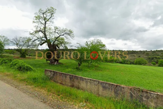 Terreno rural en venta - Castrelos e Carrazedo - foto 3