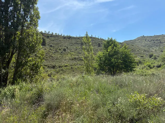 PARCELA URBANA EN VENTA EN UNCASTILLO - 17.700 M2 — 33