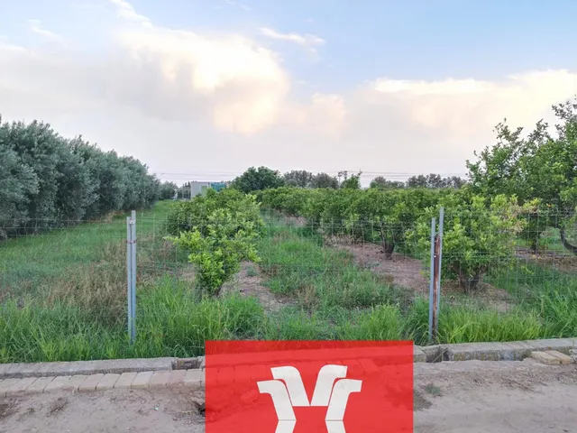 PARCELA RUSTICA CON CASETA PREFABRICADA A LA VENTA EN MONCAD - foto 4
