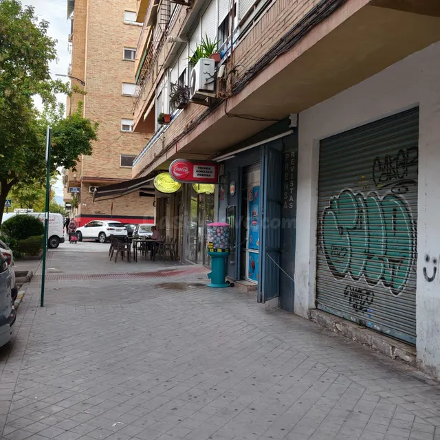 Local en alquiler c.pintor manuel maldonado en zaidin Granada — 5