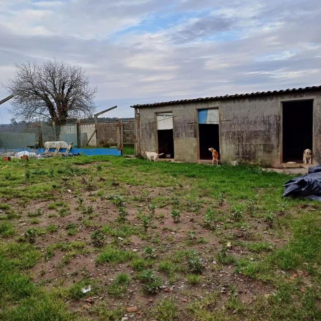 SE VENDE CASA DE ALDEA EN ARZUA PARA REFORMAR — 6
