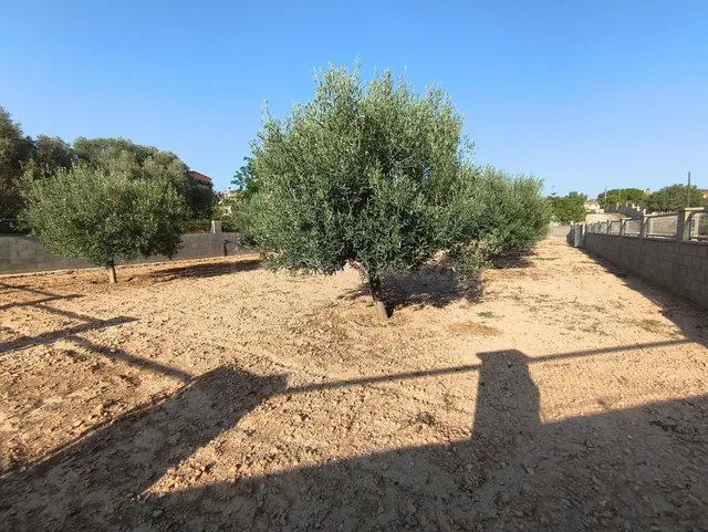 2 parcelas planas de un total de 888m2 en Urb LAlzineta (Mon - foto 2