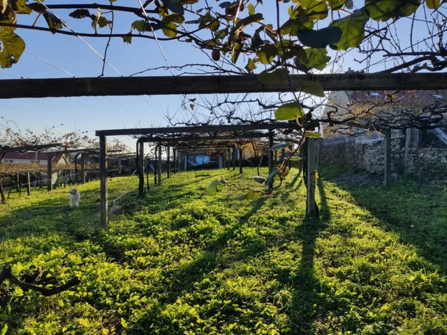 Chalet 6 dormitorios en Vilanova de Arousa — 33