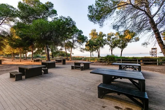 Casa 1 habitación 55m² en venta - La Siesta - El Salado - Torreta — 49
