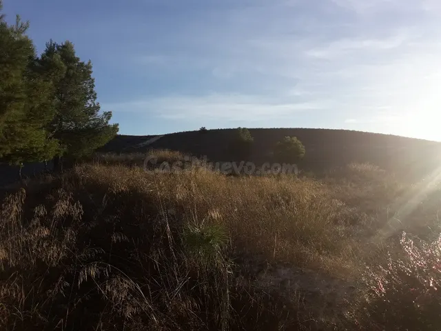 SE VENDE PARCELA RUSTICA EN ASPE ZONA UCHEL - foto 2