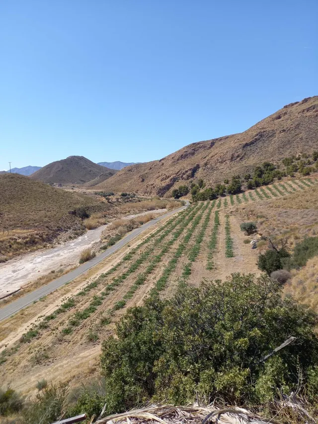 Refugio único con 3 viviendas, olivar y energía solar – Costa Cálida, Murcia — 18
