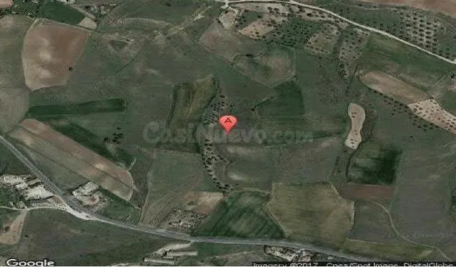 Terreno rural en venta - La Dehesa - El Pinar — 3