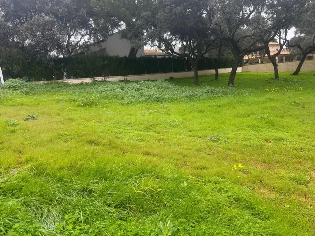 MARAVILLOSA PARCELA EN LA JULIANA - foto 2