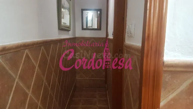 CASA INDEPENDIENTE A 5 MINUTOS DEL AYUNTAMIENTO!!! — 3