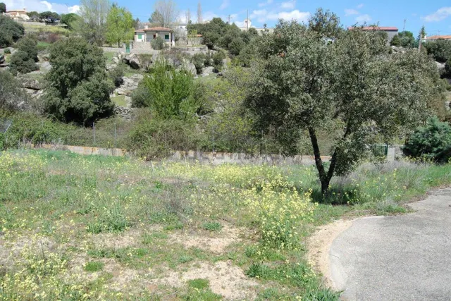 VENTA TERRENO URBANO SANTA CRUZ DE PINARES AVILA — 4