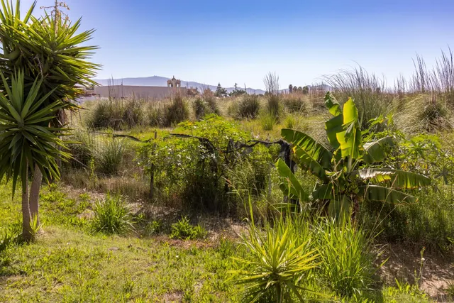 CASA CORTIJO EN MOTRIL. SITUADA A 2,5 KM DE LA PLAYA — 29