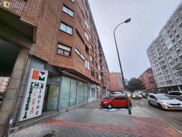 LOCAL COMERCIAL - ACONDICIONADO PARA FLORISTERÍA - ZONA SUR  - foto 2