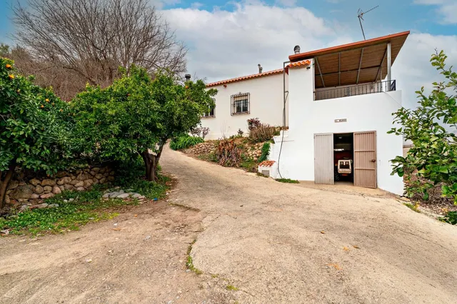 Finca con vivienda y explotación agrícola rentable — hogar,  - foto 2