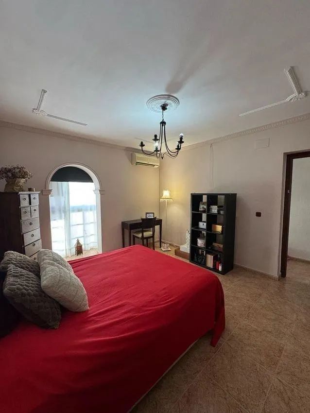 Gran adosado de 180 m2 en Avenida de la Libertad — 23