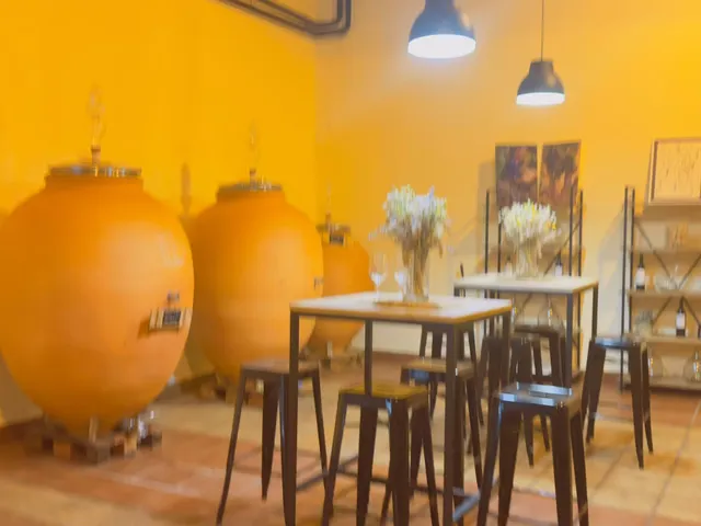Exclusiva Bodega en Venta en el Corazón del Priorat – Producción Ecológica de Alto nivel | 82 ha de Finca con Masía y Viñedos — 11