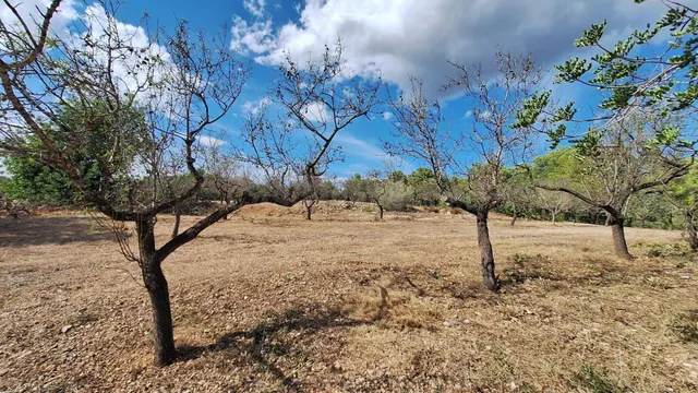 Finca rústica con encanto cerca de El Perelló – 23.000 m2 de naturaleza y tranquilidad — 3