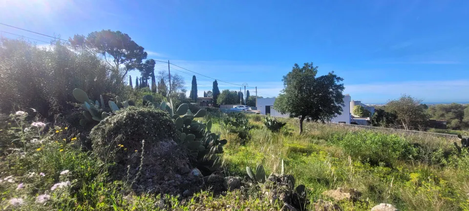 Conjunto de tres terrenos urbanos en Sa Cabaneta, Marratxí