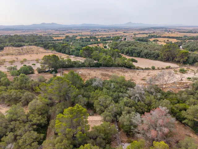 Encanto rústico en plena naturaleza, a solo 5 minutos de Es Cruce – Petra, Mallorca — 7