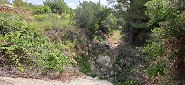 Finca rústica con encanto cerca de El Perelló – 23.000 m2 de naturaleza y tranquilidad — 2