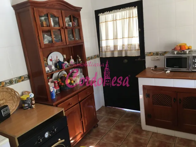 MAGNIFICO CASA CON TERRRENO EN ALCOLEA!! — 9