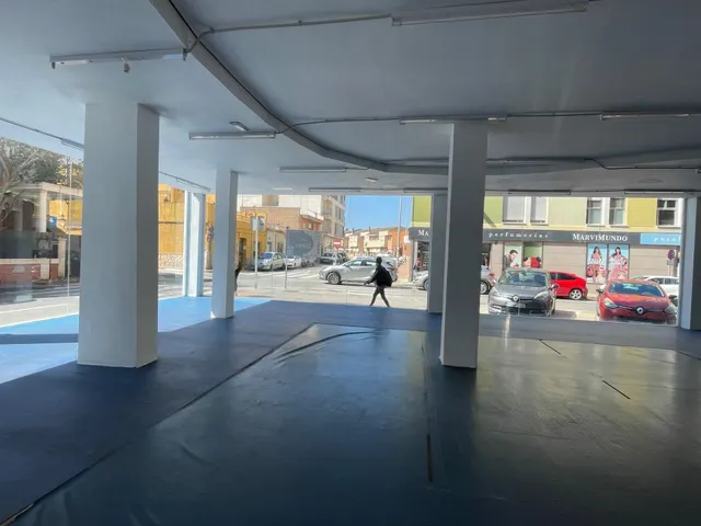 LOCAL COMERCIAL EN LA ALBERCA — 8