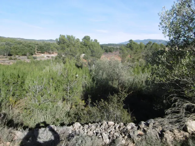 MASIA PARA REFORMAR  CON ALMACENES EN UNA FINCA DE 10 HECTÁREAS — 27