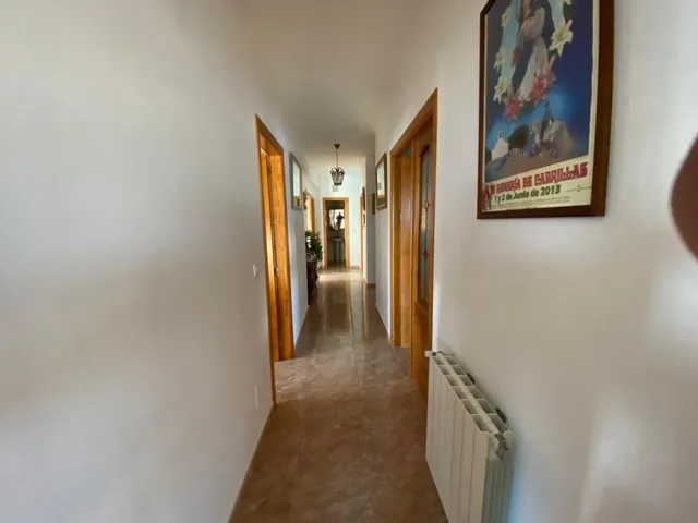 ALCÓNTAR ( EL HIJATE DE ALMERÍA ).PARCELA CON VIVIENDA — 13