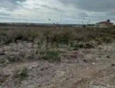PARCELA DE 6.000m2 - foto 2
