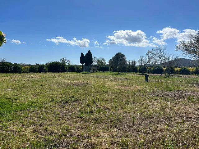 Huerto en venta a las afueras de Porreres - foto 4