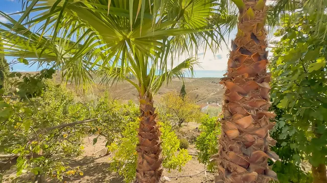 Finca rústica 2 habitaciones 140m² en venta - Polígono - Alrededores - Pedanías — 41