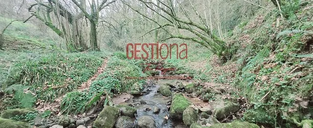 CABAÑA CON ARROYO, PROYECTO Y CAMBIO DE USO EN LLANOS. PENAG